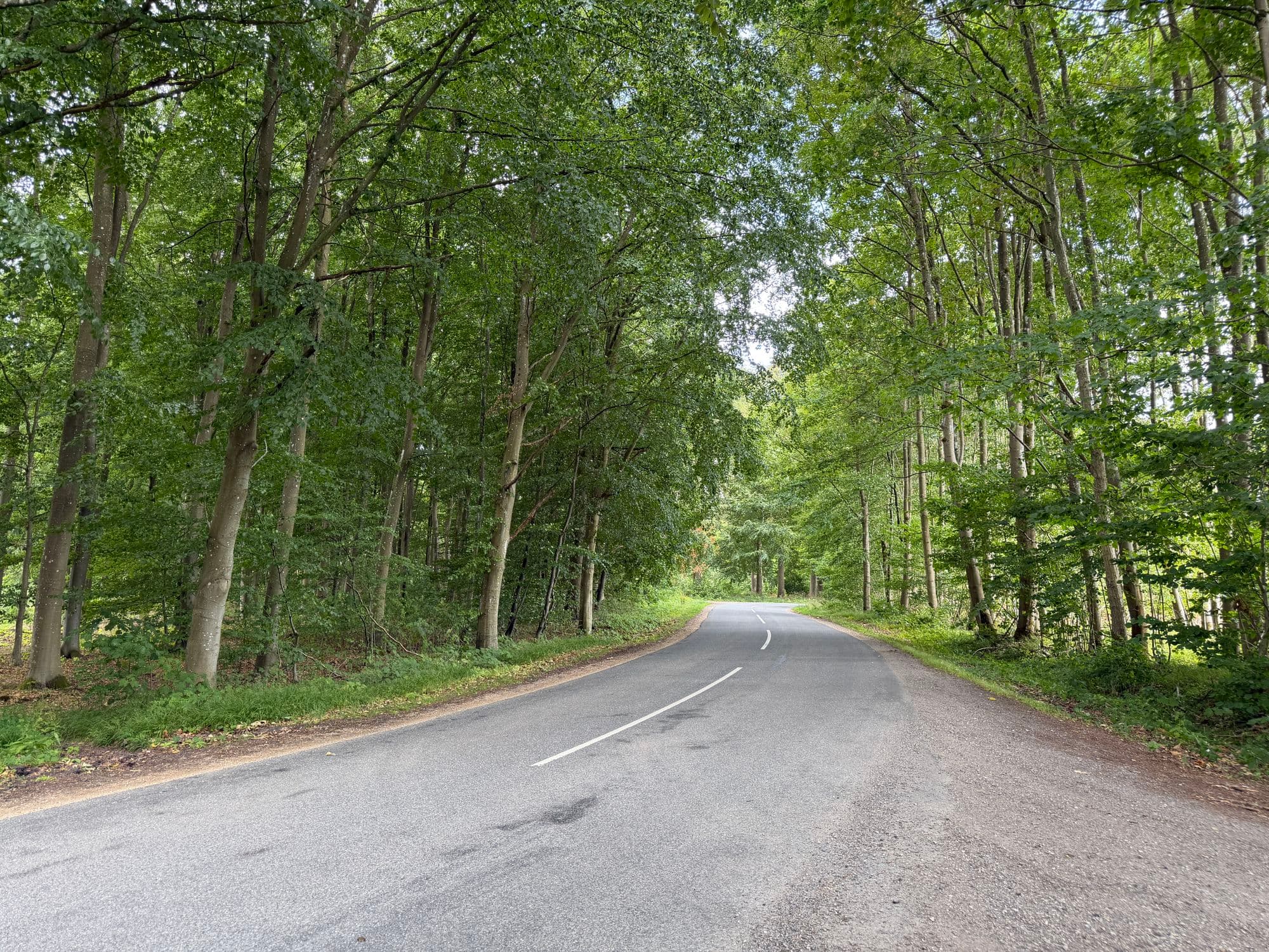 Ejby countryside